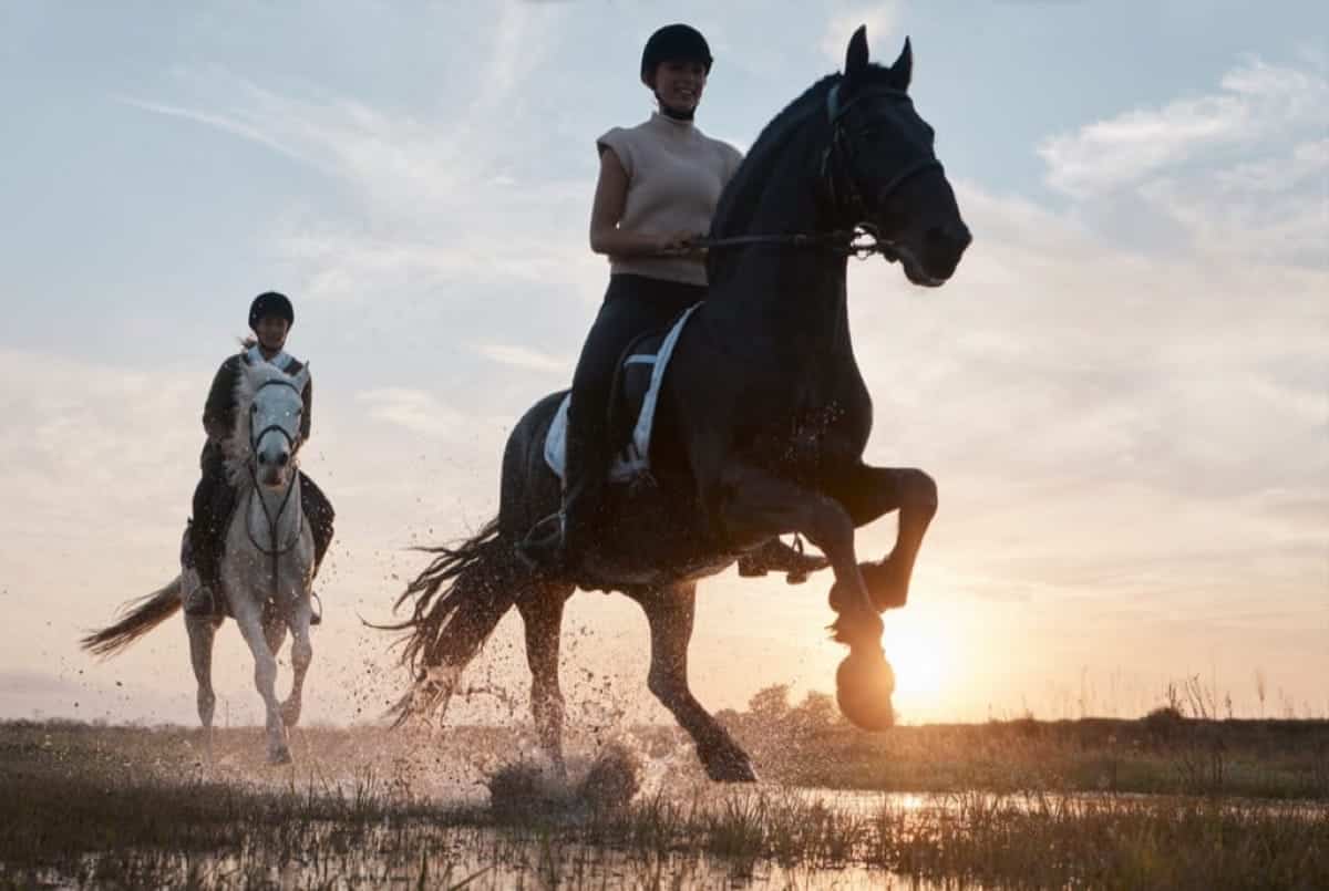 couple horse back riding together